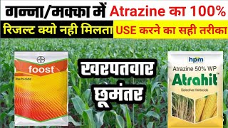 मक्कागन्ना मे Atrazine ka 100रिजल्ट पाने का सही तरीका Atrazin 50wp use in maizesugercane bajra [upl. by Eidnak]