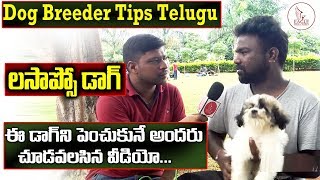 Lhasa apso Training Tips  Dog Breeder Tips in Telugu  Good food for Dogs  Eagle Media Works [upl. by Correna]