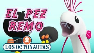 Los Octonautas Oficial en Español  El Pez Remo  Episodio 28 [upl. by Lemart]