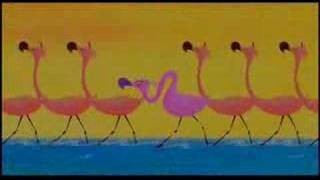 Les flamands rose [upl. by Palgrave]