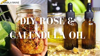 DIY Rose amp Calendula Infused Oil Using Sun Power ☀️ [upl. by Tevis]