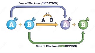 REDOX REACTIONSPart2 REDUCING amp OXIDIZING AGENTS GRADE 11 [upl. by Cimbura]