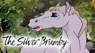 The Silver Brumby 112  Golden Goes Home HD  Full Episode [upl. by Nnylrebma]