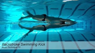 Backstroke Swimming Kick [upl. by Deutsch34]