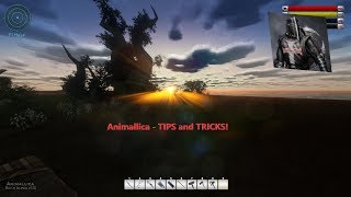 Animallica  Back to the basics TIPS and tricks [upl. by Hebner]