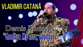 Romanii Au Talent 2022 Vladimir Catana  ULUITOR ♫ Cover Demis Roussos  Goodbye My Love Goodbye [upl. by Woody]