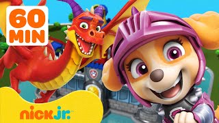 PAW Patrol Dragon Adventures amp Rescues 🐉 1 Hour  Nick Jr [upl. by Dlabihcra]