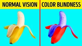 How Color Blind People See the World [upl. by Notsnarc]