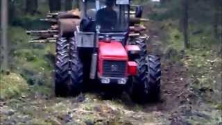 Carraro 5500 im Wald [upl. by Busiek]