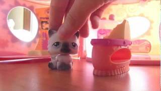 LPS The Adoption Center Episode 1 CRAZY EDITION [upl. by Anitsuga]