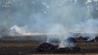 FlächenbrandGroß Einsatz Feuerwehr Ladbergen Kreis Steinfurt [upl. by Immac]