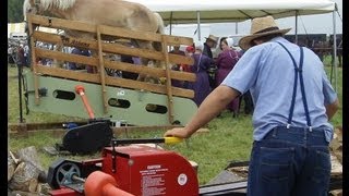 Athens Horse Powered Treadmill [upl. by Schinica804]