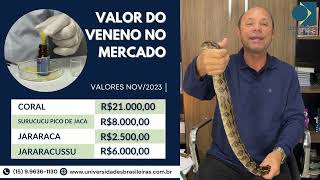 Aula Gratuita Criação Serpentes 56 min zap prof Marcos eu mesmo te atendo 15996361130 [upl. by Tnecillim786]