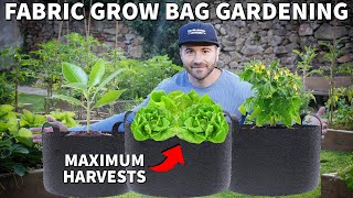 How To Use Fabric GROW BAGS For The Container Garden Of Your Dreams [upl. by Doscher245]