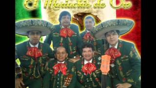 Las mañanitas  El Mariachis de Oro [upl. by Ardine746]