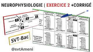 SVTBac Neurophysiologie Exercice 2  Corrigé [upl. by Eilak]