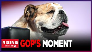 FULL SHOW ExSecret Service Agent SPEAKS OUT Morning Joe LAMENTS BABYDOG Steals Show And More [upl. by Rebecka]