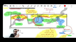 مرحلة رابعة  Org chemistry  Anticonvulsant Drugs Part 2 [upl. by Aizirtap]