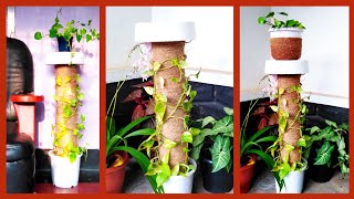 How To Make Indoor Plant Stand  DIY Plant Pot Stand  Planter Stand Out Of White CementCementStand [upl. by Arbma920]