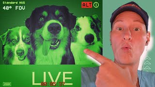 Hundetraining und Hundeerziehung Live mit DogMa 🐶👍 [upl. by Tegirb]