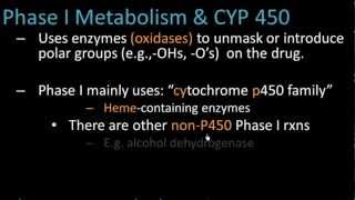 Phase I Metabolism  Pharmacology Lect 7 [upl. by Limemann]