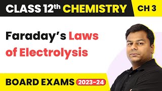 Faraday’s Laws of Electrolysis  Electrochemistry  Class 12 Chemistry Chapter 3 202223 [upl. by Freddie804]