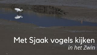 Met Sjaak vogels kijken in het Zwin bij Cadzand 1334 [upl. by Perlman]