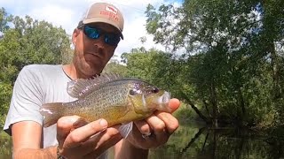 Fishing Pascagoula River’s Ward Bayou [upl. by Arquit]