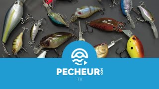 Quels leurres pour débuter la pêche des carnassiers  Tutoriel Pecheurcom [upl. by Prochora25]