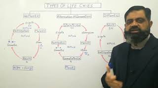 Types of life cycles UrduHindi medium profmasoodfuzail  Haplontic life cycle  Diplontic [upl. by Ettenan472]