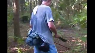 Ghost Town  Centralia Florida  Abandoned Lumber Mill Site [upl. by Madeleine]