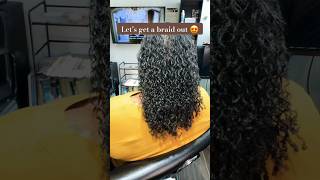 Transform Your Thin Fine Sisterlocks with an Incredible Braid Out [upl. by Prader487]