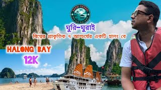 Halong bay Vietnam পৃথিবীর প্রাকৃতিক ৭ আশ্চর্যের একটি। হালং বে ডে ট্যুর [upl. by Lihp]