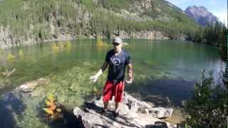 Cliff Jumping for Beginners [upl. by Birdt]