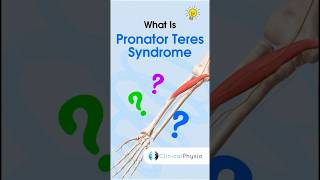 Pronator Teres Syndrome anatomy physicaltherapy physiotherapy pronatorteres [upl. by Iggep]