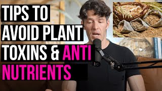 Digestive Issues Solved by Avoiding Plant AntiNutrients Oxalates Lectins Saponins amp More [upl. by Nosemaj]