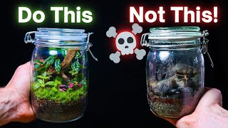 10 ESSENTIAL Terrarium Tips For Beginners [upl. by Mareld574]