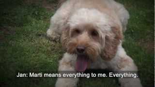 What does a hearing dog do [upl. by Emolas560]