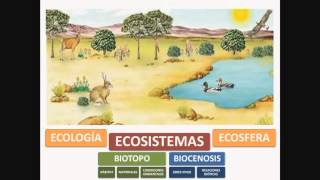 TEMA 5 LOS ECOSISTEMAS DE LA TIERRA [upl. by Gaiser]