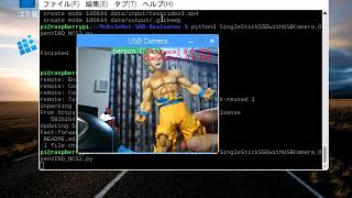 910 FPSRaspberryPi3 OpenVINONCS2MobileNetSSD RealTime ObjectDetection [upl. by Bromleigh325]