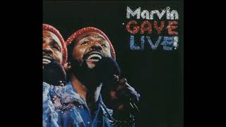 Marvin Gaye  LIVE quotInner City Blues amp Distant Loverquot  At Radio City Music Hall 1974 [upl. by Nairbal209]