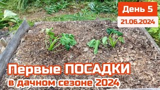 Сажаем 1е Растения в сезоне 2024 вся Рассада от соседей Успешный подзимний посев на Пряной грядке [upl. by Landes]