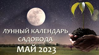 Лунный Посевной Календарь на май 2023 Что и когда сажать и пересаживать в мае 23 [upl. by Pinter]