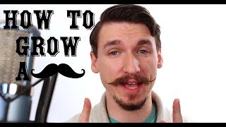 How To Grow and Style a Handlebar Mustache  A Tutorial  Matt Tastic [upl. by Grete]