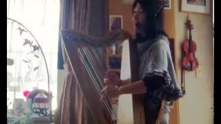 The NightingaleDeborah HensonConant Harp amp Voice  KIKI [upl. by Hobie]