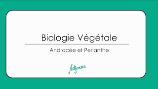 Tutorat biologie végétale  Androcée et périanthe [upl. by Mairim]