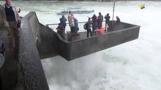 Rheinfall bei Hochwasser [upl. by Adroj312]