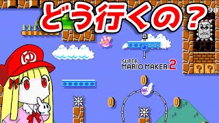 1つのギミックだけで9割費やした激ムズコース【マリオメーカー2】 スーパーマリオメーカー2 SuperMarioMaker2 [upl. by Rehpotirhc]