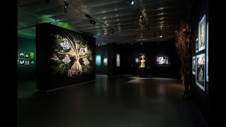 Wonderland at Fotografiska Museum Stockholm 2019 [upl. by Alleuqcaj]