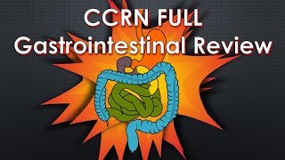 CCRN Gastrointestinal Review Video  FULL [upl. by Adrianna]